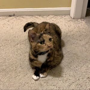 Meet your Posher, Emma